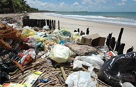Imagem mostra lixo depositado nas proximidades do Pontal de Maracaípe