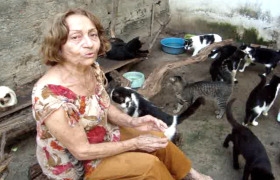 Dona Tarcísia Maria tem em sua casa 60 gatos, 14 cahorros e uma pomba de asa quebrada